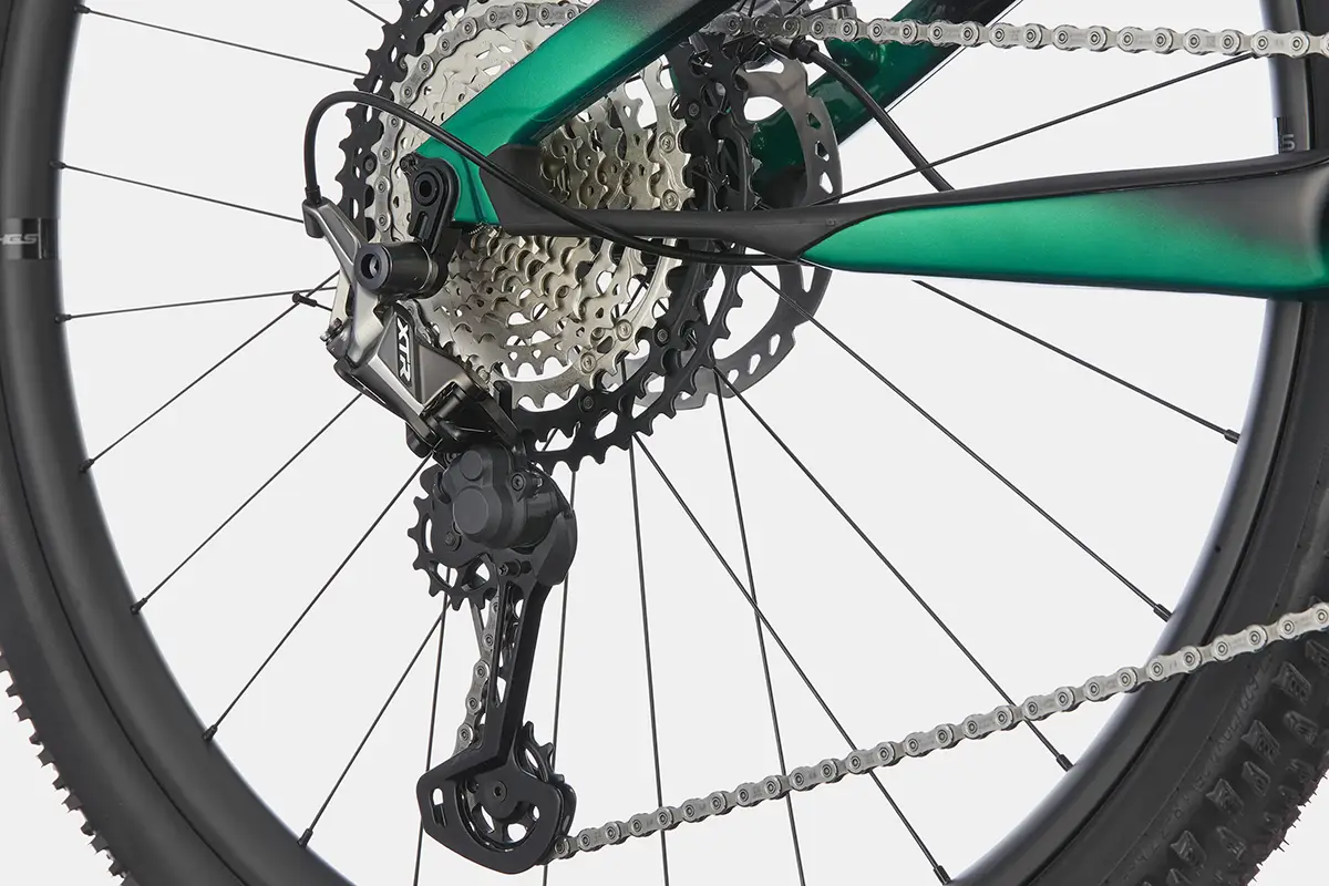 C21_C24111M_Scalpel_HM_1_REP_D1 copy