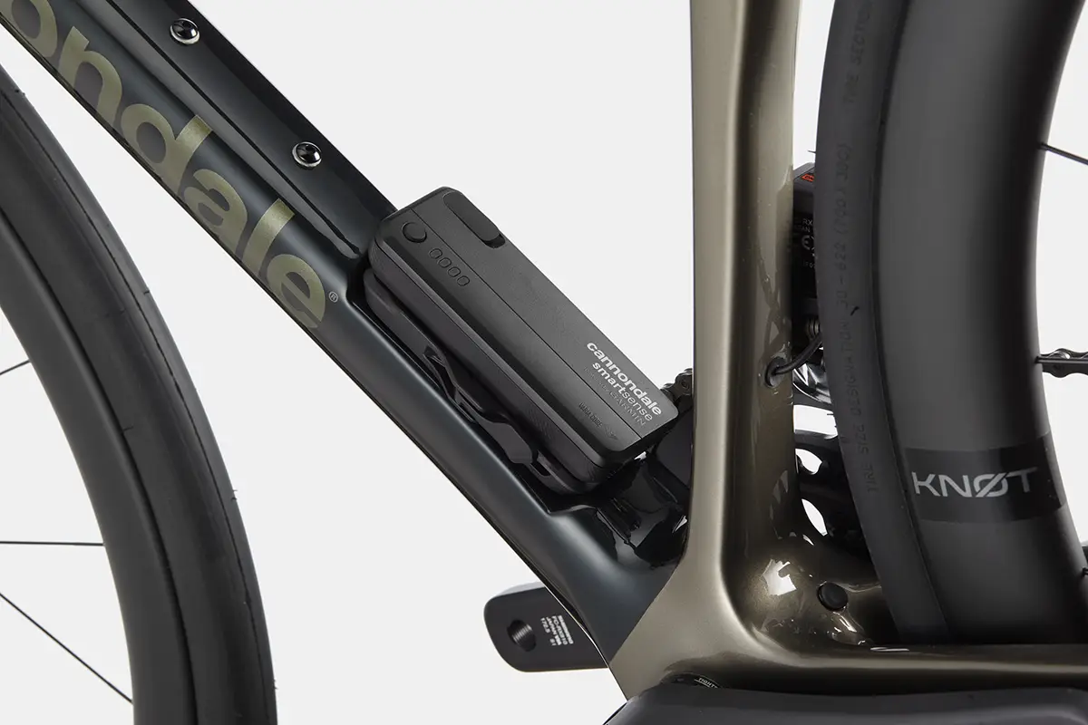 C22_C12151U_Synapse_Crb_LTD_RLE_GMG_D6 copy