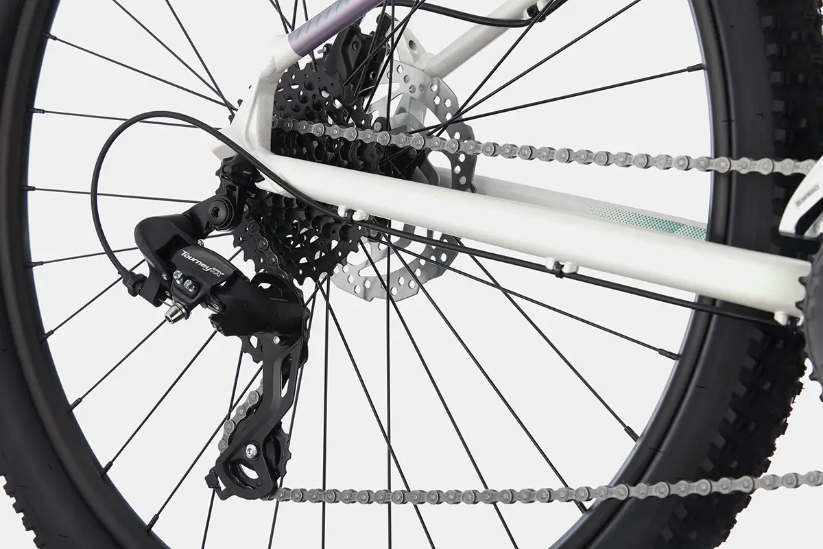 C21_C26501F_Trail_7_IRD_D3 copy